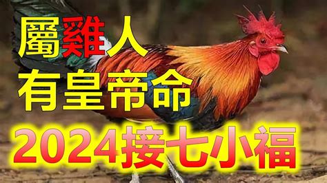 屬雞|屬雞出生年份/幾多歲？屬雞性格特徵+生肖配對+2024。